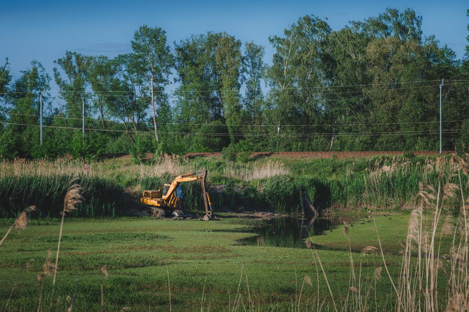 koparka gąsienicowa usuwająca pniaki i zarośla na działce budowlanej